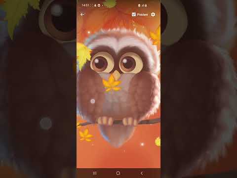 Cute Owl Live Wallpaper