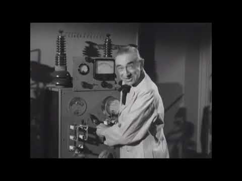 Off Beat Cinema Bride Of The Monster (1955)