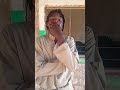 Trending Kazi Poa Comedy Funny