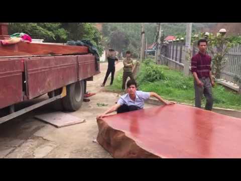 Giao hàng gỗ nguyên khối đinh hương cho bác Hùng ở Đoan Hùng part 2- Gỗ Việt Bắc