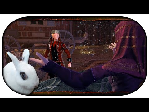NEVERWINTER: Paladin-LP 🐇 202 - Die Jagd in Schreckenszahn