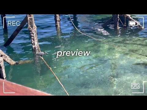 ╰┈➤ our first trip together *:･ﾟ✧*:･ﾟsabah, island-hopping, foods ˚*•̩̩͙✩•̩̩͙*˚＊