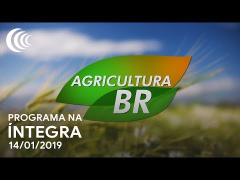 Programa Agricultura BR | 14/01/2019