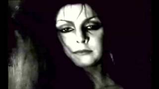 THE ROSETTA STONE nothing