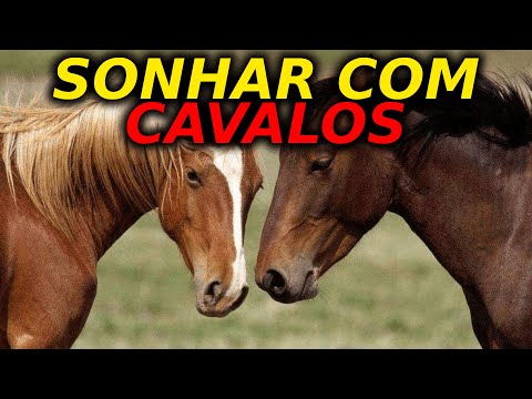 SONHAR COM CAVALOS: Qual o significado? Aprenda a interpretar e entenda a polêmica!