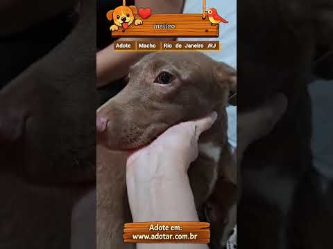 Vídeo de matteo