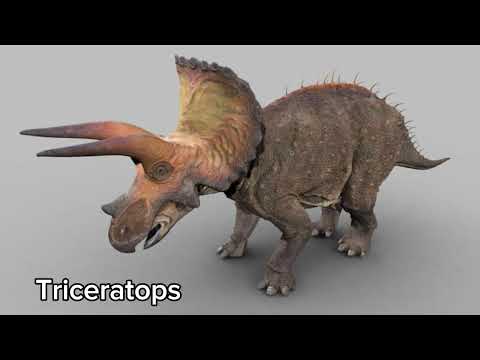 Dinosaur Revolution/Dinotasia - All Creatures 