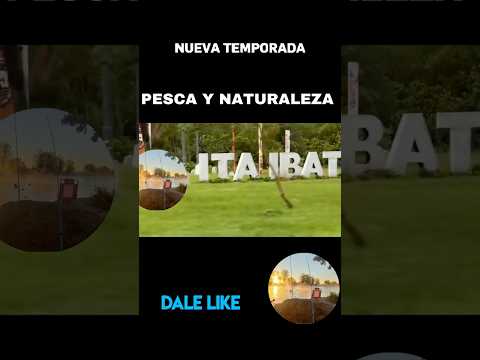 Pesca en Itaibate, Corrientes,Ríos de ensueño, peces de lujo. ¡Vení a vivir la aventura conmigo! 🎣"