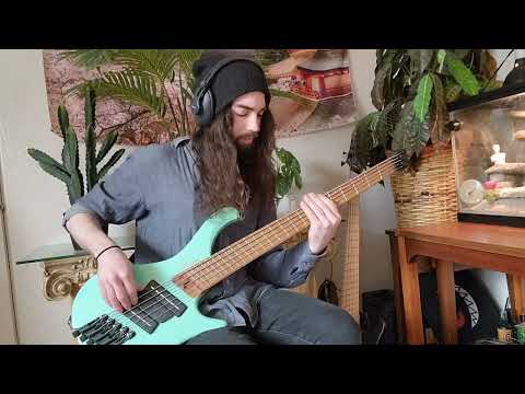 Crash Course - Blu DeTiger (Bass Cover)