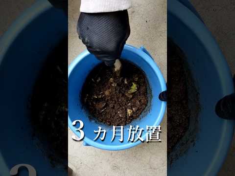 堆肥が分解しないのはなぜですか? 5つの原因とその解決策を探る  庭園