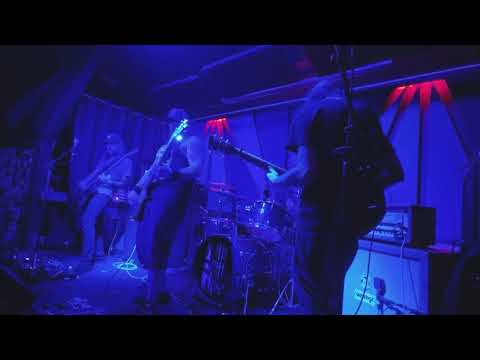FAUNS video