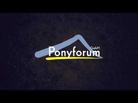 3j. Fuchswallach v. Diamond Touch NRW – Der Harlekin B