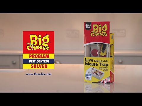(Live Catch and Release) Live Multi-Catch Mouse Trap STV162