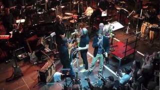 Flamingo - Todd Rundgren (guitar) & Metropole Orkest, Paradiso 11/09/24