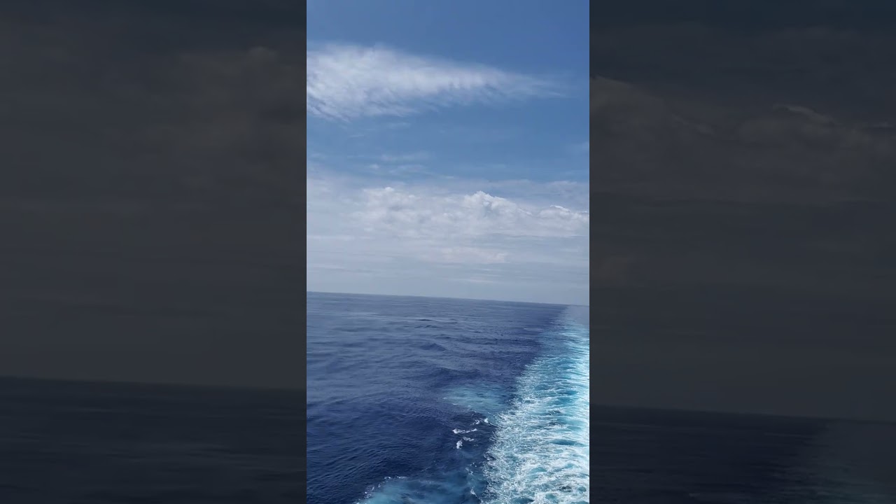 Adventure of the Seas - Cabin 8392 - Video 3