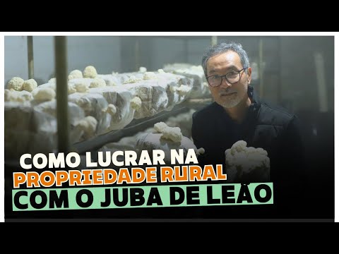 🍄 How to PROFIT from rural property, regardless of the weather, with LION'S MANE