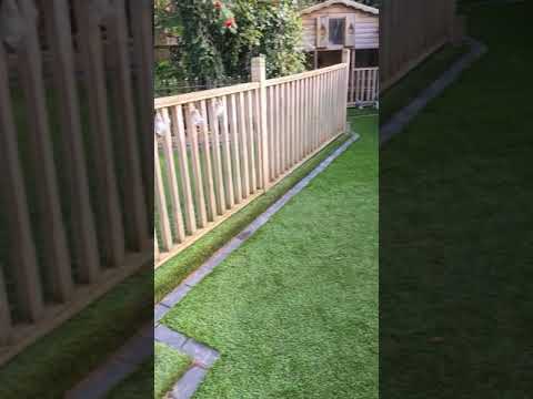 Pw tree care and landscaping services video.