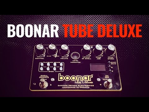 Dawner Prince Electronics Boonar Tube Deluxe (Binson Echorec 2 T7E) image 4