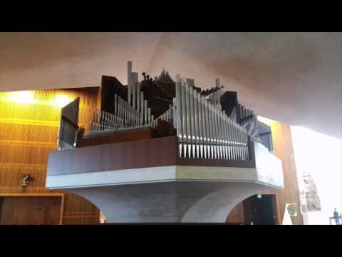 St. Mary's Cathedral Pipe Organ Concert San Francisco