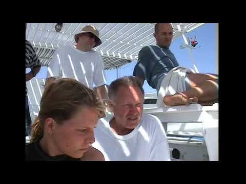 Bakancsot fel! - Egyiptomi búvártúra /2004.01.20./