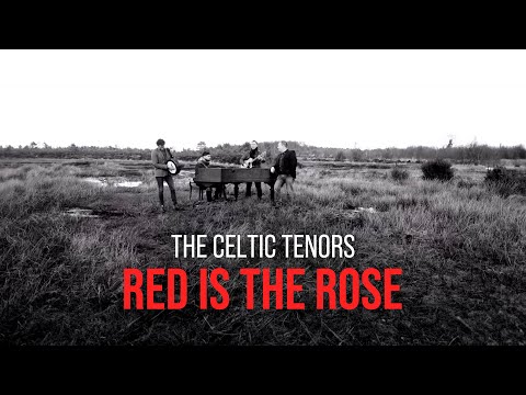 The Celtic Tenors - Red is the Rose [Official Video]