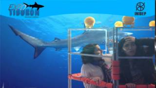 DIA 3 Expo Tiburon98