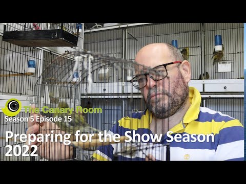 The Canary Room Season 5 Ep 15 - Preparing for the Show Season