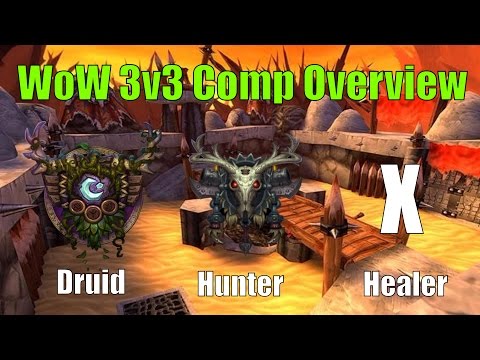 WoW 3v3 Arena Comp Overview - Jungle Cleave (Druid, Hunter, Healer) - Guide & Tips