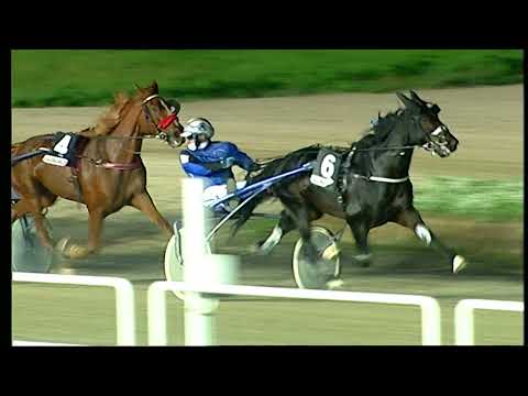 Napoli Trotto 05/11/2021 - 7ª corsa