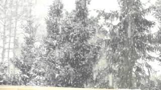 preview picture of video '5-6 inches | 11-15 cm of Snowfall (January 20, 2013)'