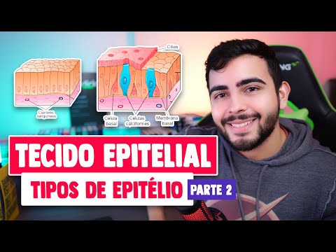 Histologia - Epitélio: Simples, Estratificado e Pseudoestratificado (Capítulo 4 - PART 2) │JUNQUEIRA
