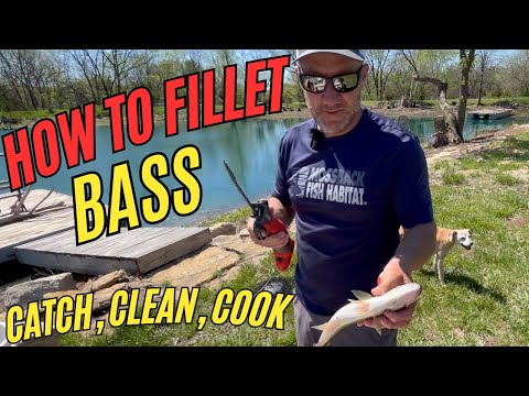 How to fillet a BASS...   Catch, Clean, Cook