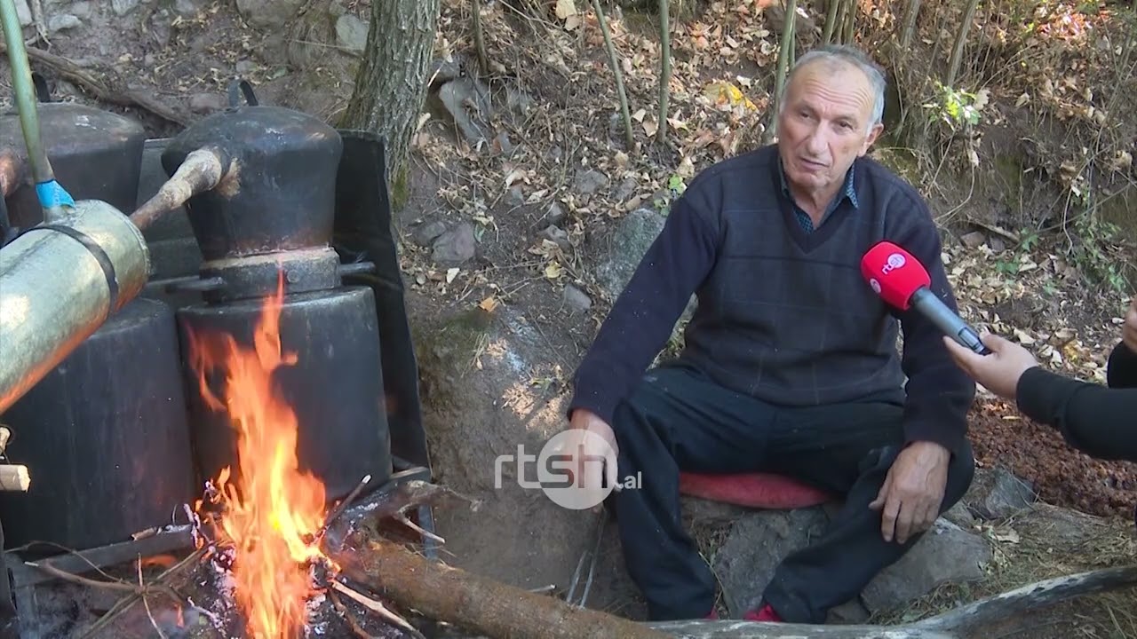 Rakia e kumbullës së egër, tradita që vijon/Mbledhja, përpunimi dhe zierja, një proces që kërkon kohë dhe përvojë