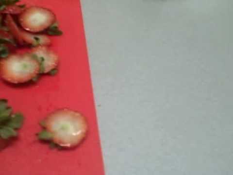 Have & Have Not's From Shivering Timbers!