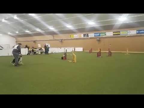 Vaisu Tornio 7.5.2017 E-rata