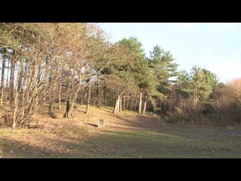 A Place To Live - Southport, Formby and West Lancashire