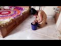 Costa Vlog Video Floor Clean By Hand Nighty Girl Floor Cleaning By Hand Tuma Vlog Desiclean