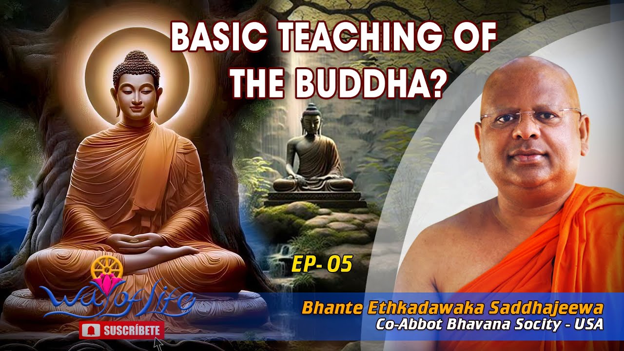 BASIC TEACHING OF THE BUDDHA?, "Way of Life" , Buddhist Meditation, USA, Way of Life Buddhism
