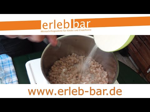 Kleines ABC der Erntehilfen – Weiße Johannisbeeren ernten und verarbeiten