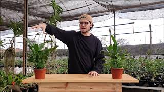 V&iacute;deo do produto