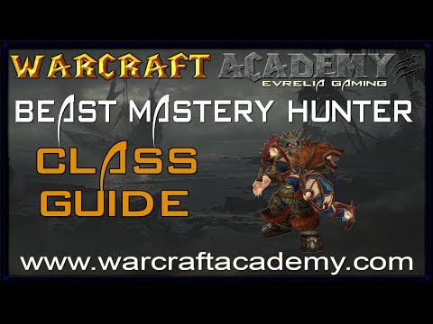 5.4 Beast Mastery Hunter DPS Guide - Warcraft Academy