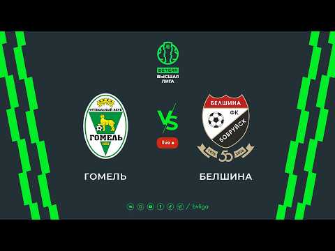LIVE | Gomel — Belshina | Гомель— Белшина