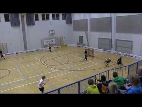 Maalikooste Coach Team-VehVe 20.02.2015