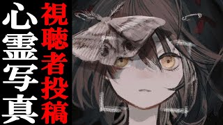 視聴者投稿の心霊写真・動画を見る