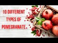 Top 10 types of pomegranate