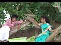Chukkala Chunni Lyrical Kiran Abbavaram Priyanka Jawalkar Chaitan Bharadwaj