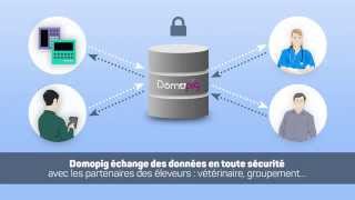DOMOPIG - Présentation du concept
