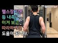 케이블 로우(Cable row)/등운동/광배근, 중부, 하부 승모근 운동/헬스장 기구 사용법[건디ROY]