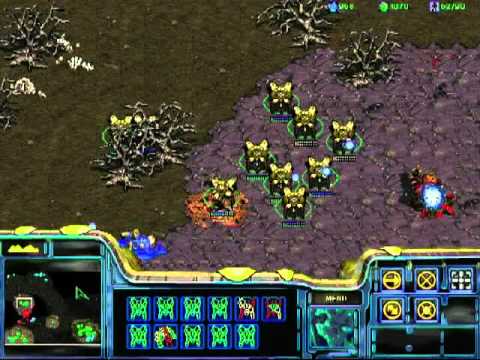 Let's Play Starcraft 1 (21) Tassadar the Traitor