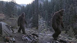THIS IS WHY NOBODY CAMPS ALONE IN HELLS CANYON, IDAHO - Bigfoot Stories